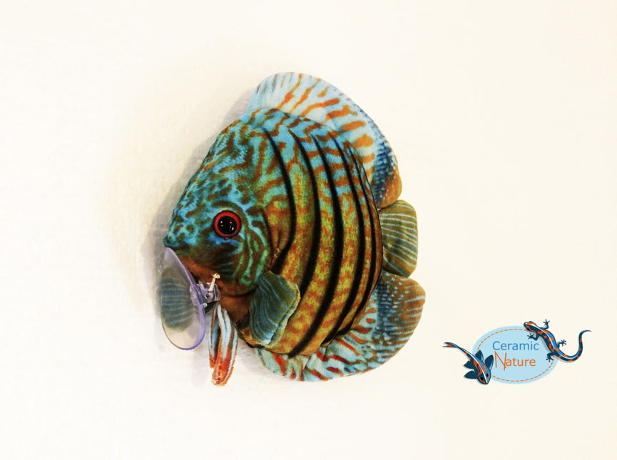 Peluche poisson Discus - Bestseller !