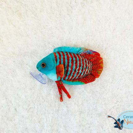 Peluche Gourami