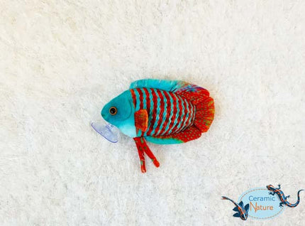 Peluche Gourami