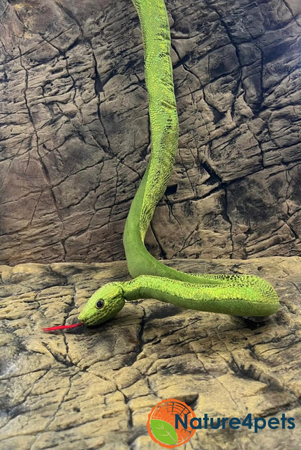 Green snake plush
