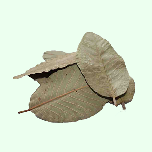 <h4> Produits naturels</h4>