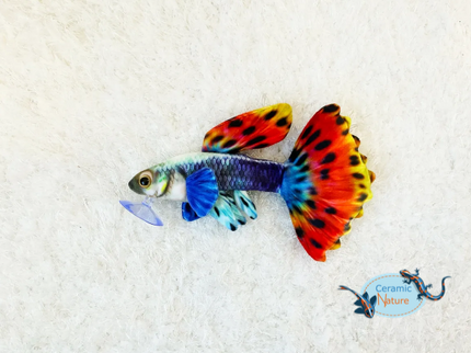 Guppy Plüsch