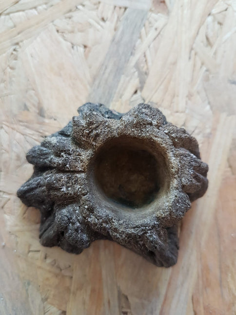 Bol pour terrarium XXS
