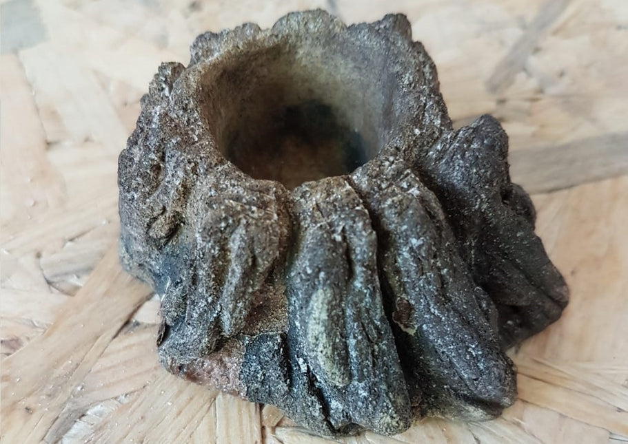 Bol pour terrarium XXS