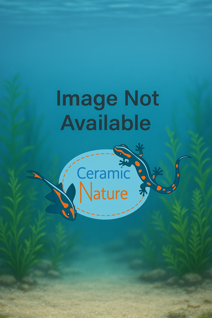 Ceramicnature pens 25x