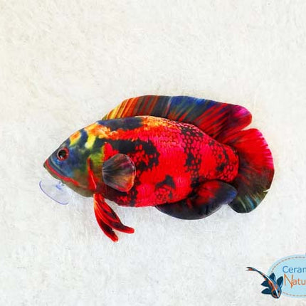 Oscar petite peluche rouge