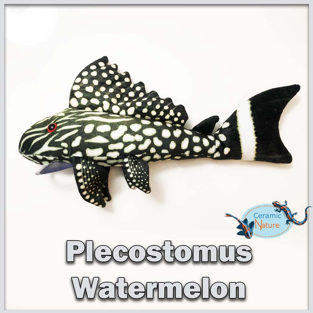 Peluche pleco pastèque
