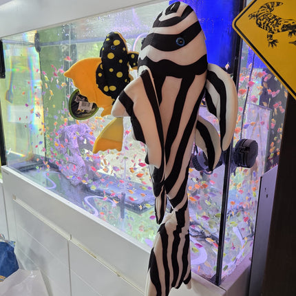 Peluche zèbre pleco L46 XXL 65cm