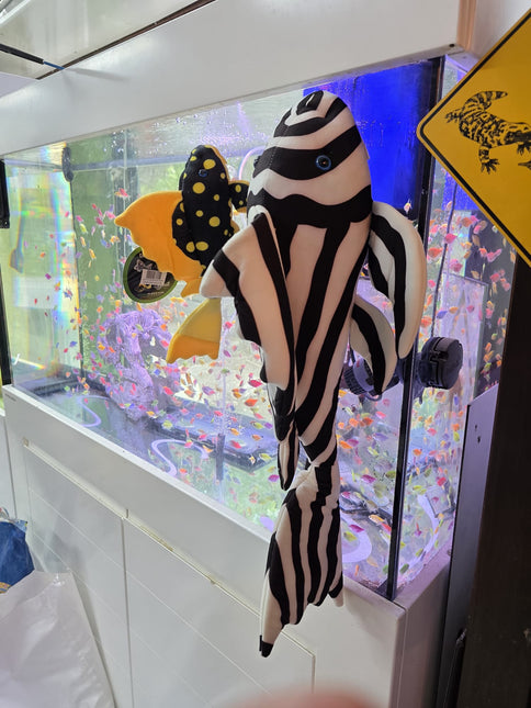 Peluche zèbre pleco L46 XXL 65cm