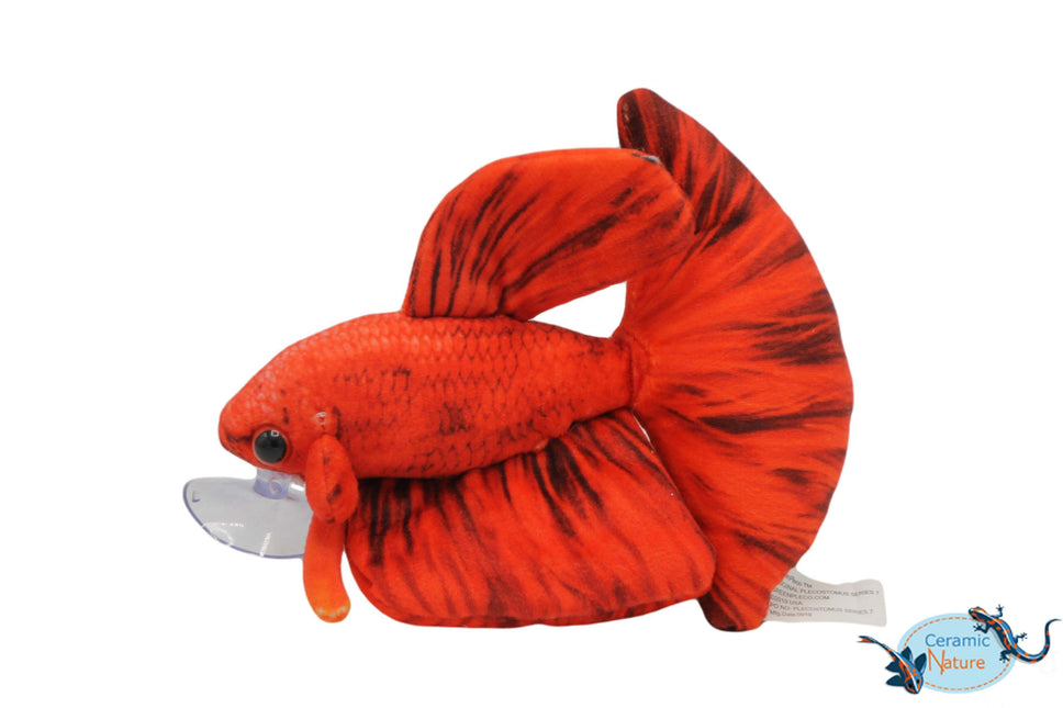 Red betta plush