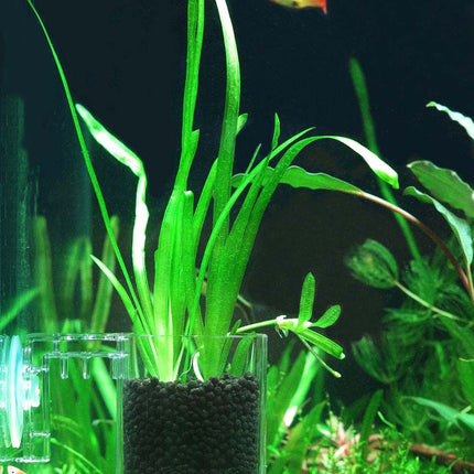 SF-0-plant-pot