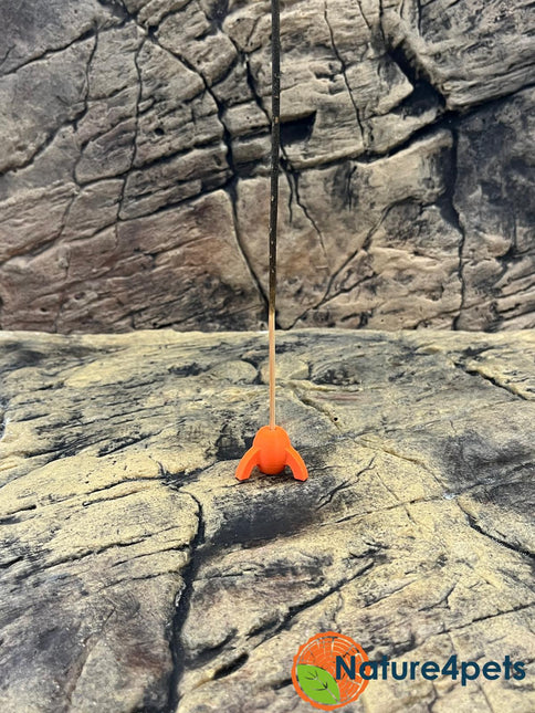 Shrimp lolly Holder – Lava Orange