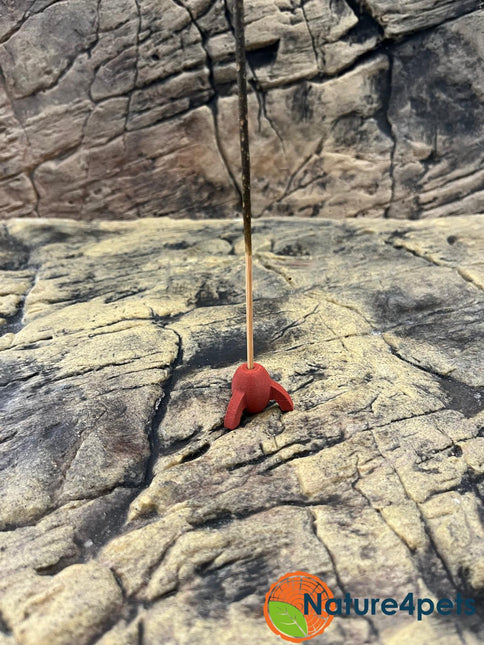 Shrimp lolly Holder – Ruby Red