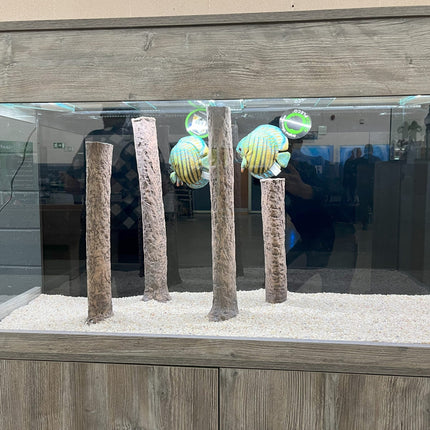 Standing log