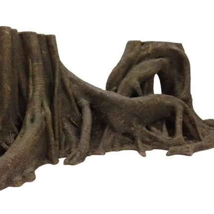 Tropical forest tree trunk