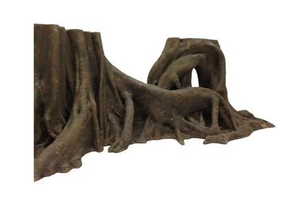 Tropical forest tree trunk