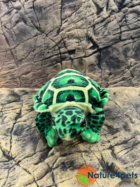 Turtoise green plush