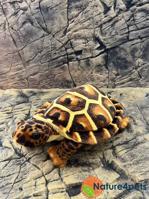 Turtoise brown plush