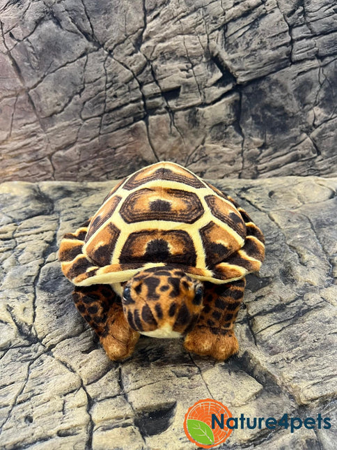 Turtoise brown plush