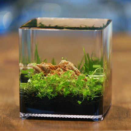 ZT-14 Betta Box 2,4L