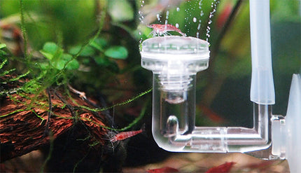 Diffuseur de CO2 ZD-200