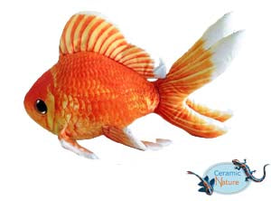 Peluche poisson rouge - Bestseller !