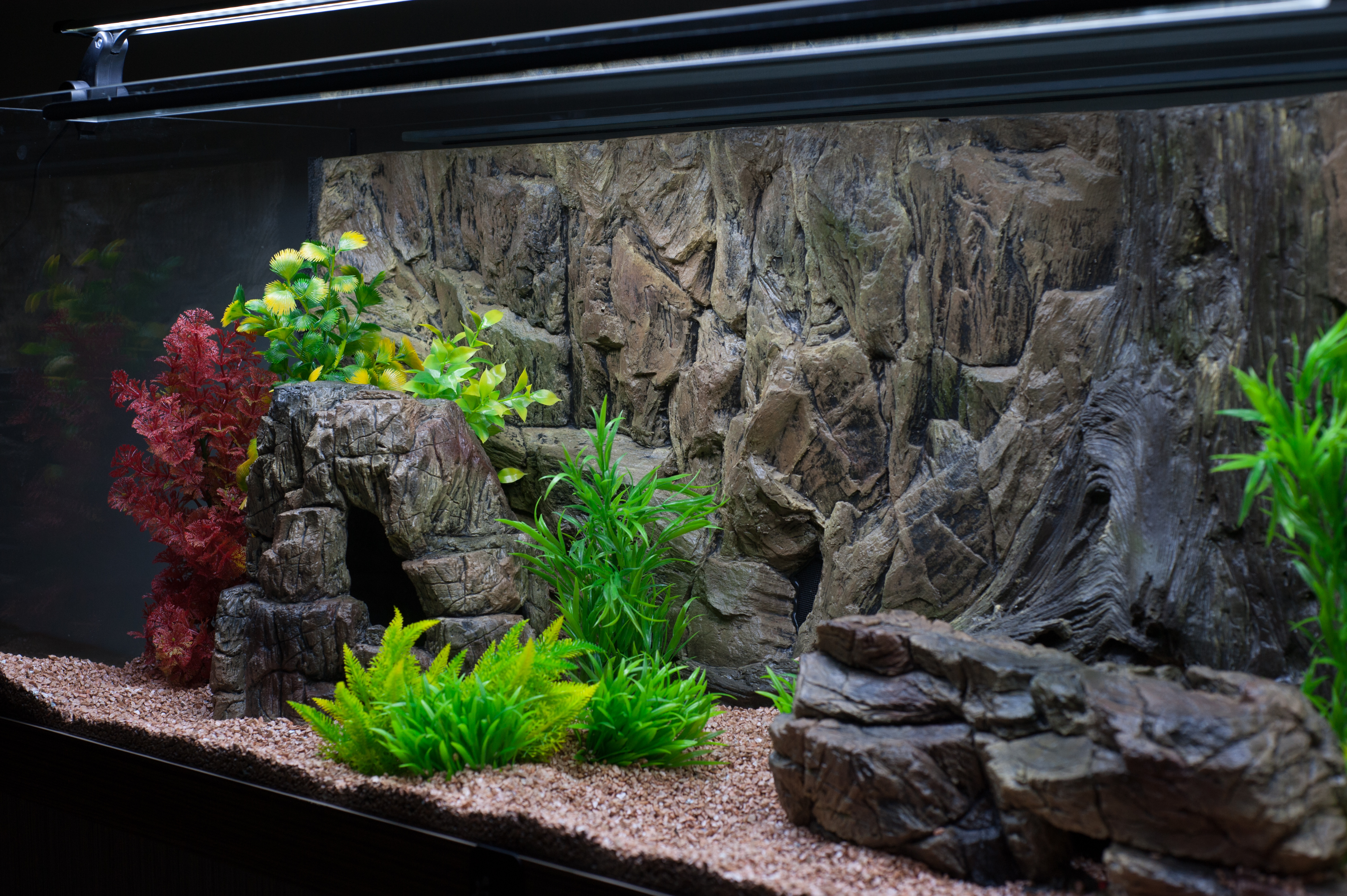 Ongunstig Rechthoek In de genade van Background standard for every aquarium & terrarium - CeramicNature