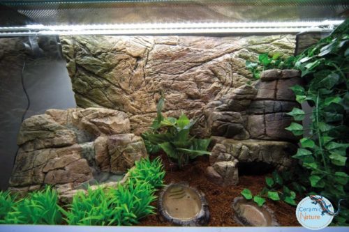 Terrarium background CeramicNature