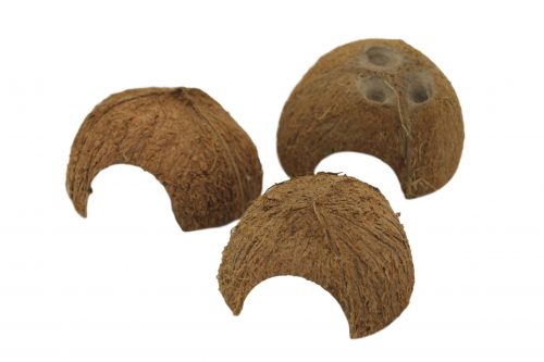 Coconut 45311 CeramicNature/Nature4Pets