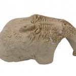 CeramicNature Fossil stone
