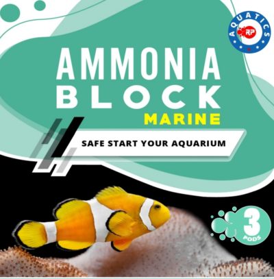 Ammonia block Marine - CeramicNature