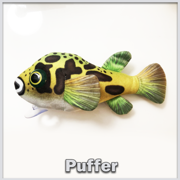 Puffer fish Greenpleco